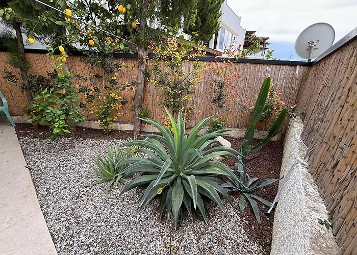 Modern Garden Flat In ボドルム